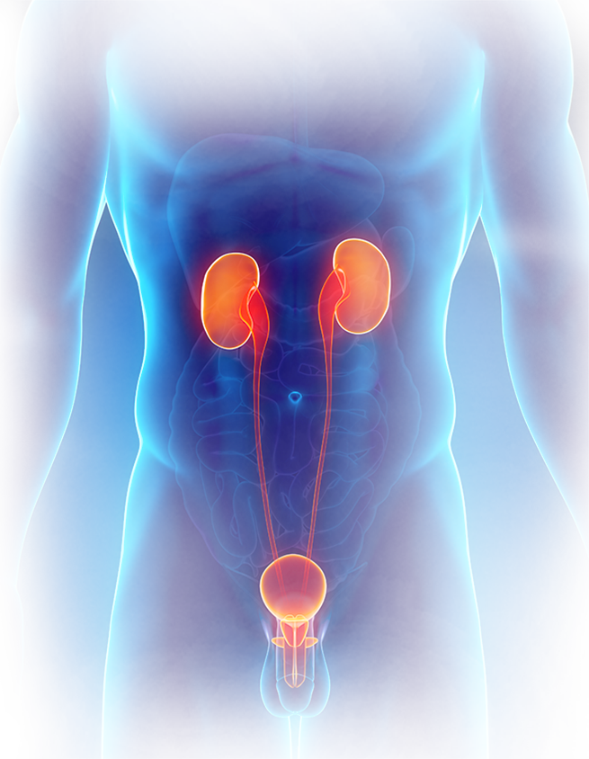 Prostonix Plus Solution